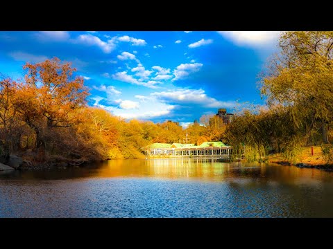 A Look At Central Park, Bethesda Terrace to 59th St. & 5th Ave. New York City