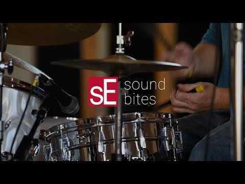 sE Electronics T2 Matched Pair