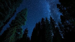 Belinda Carlisle - Runaway Horses