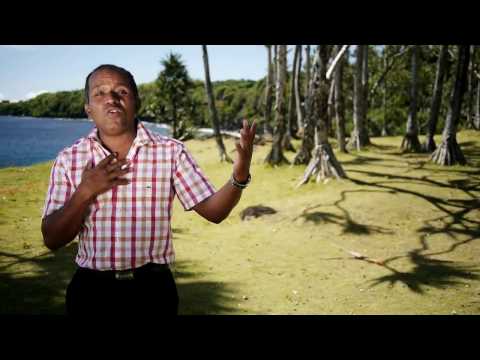 Jean-Roland MIQUEL - Nouvel an