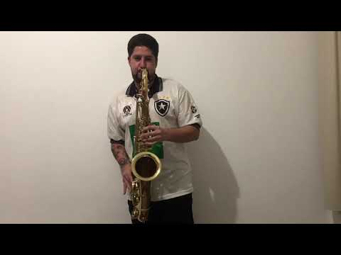 O BOTAFOGO É MEU MELHOR AMIGO | Temas da Arquibancada