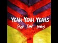 Gold Lion by Yeah Yeah Yeahs (lyrics in descrip ...