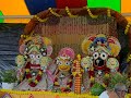 Jagannath Rath Yatra New York Jun10 Shortsvideo Radhakrishna Iskcon