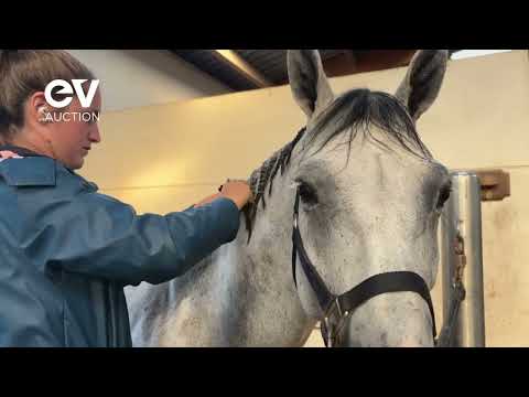 JUMP DE TALMA - QUOTIDIEN