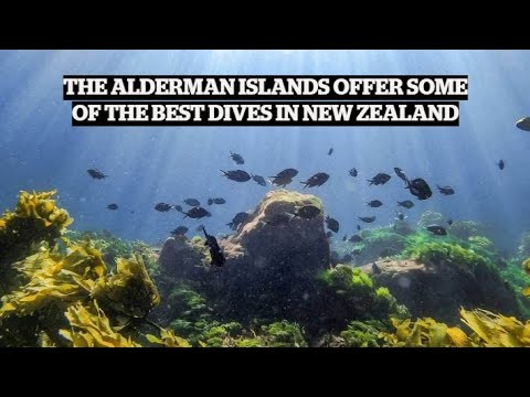 The Aldermen Islands offer some of the best diving in New Zealand | TRAVEL | STUFF TRAVEL