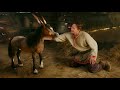 He Finds A Magic Horse That Can Fly It Changes His Life And They Become Friends Upon The Magi