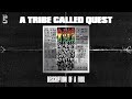 A Tribe Called Quest - Description of a Fool (Official Audio)