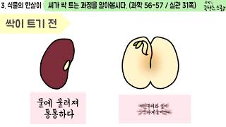 과학 4학년 1학기 3단원 5차시 영상(56-57p)