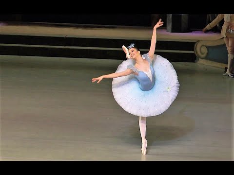 Shakirova - Princess Florine Variation from Bluebird PDD 2016