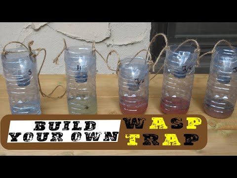 DIY Wasp Trap - What Works Best??