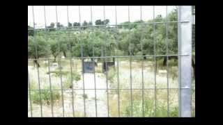 preview picture of video 'Israeli Desecration of Christian Cemetery of Beit Jala'
