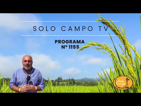 Solo Campo Programa Nº 1155 - Noviembre 2023