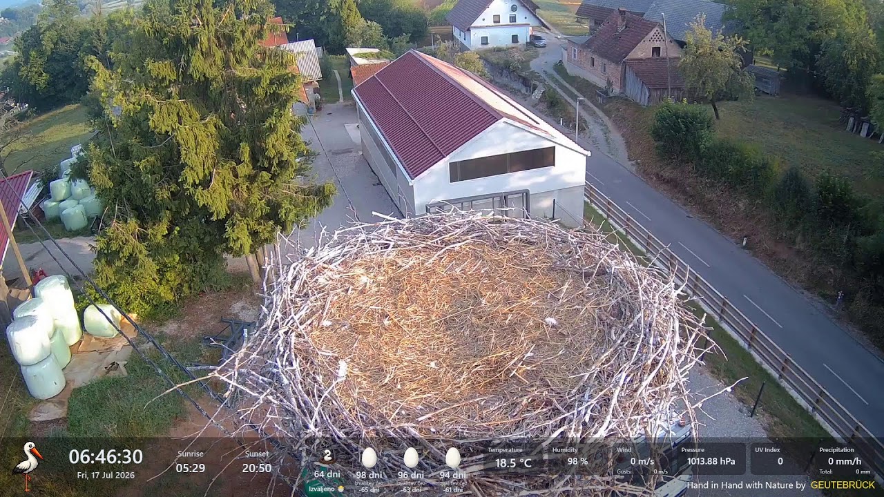 Live webcam view of Nido de Cigüeñas en Blatna Brezovica