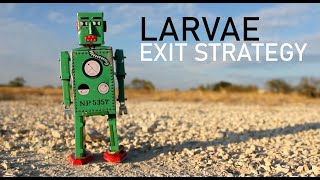 Larvae - Exit Strategy