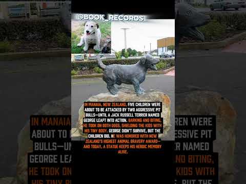 A Four Legged Hero #book_records #interestingfacts #history #funny #childheroes #rip