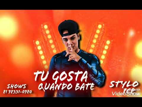 STYLO ICE - TU GOSTA QUANDO BATE - BREGAFUNK