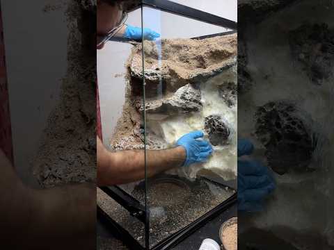 Creating a homemade waterfall with the ZooMed waterfall kit 💦 #terrarium #vivarium #paludarium