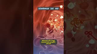 Download lagu Bolehkah Berhubungan Ketika Sedang Haid #shorts #kliperchannel #kesehatan #haid mp3