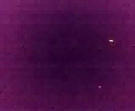 coliseum noche de reyes 2008 01