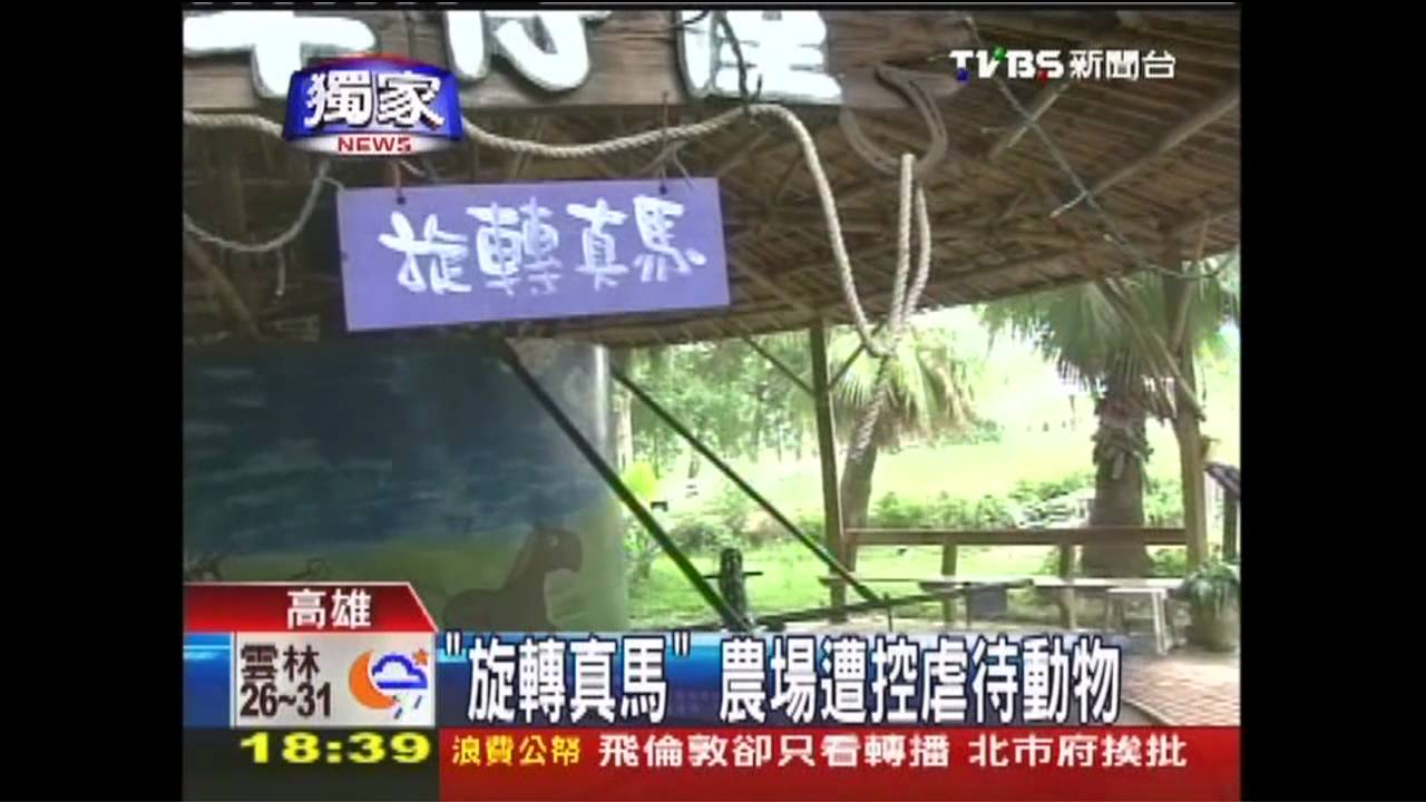 〈獨家〉「旋轉真馬」原地繞　農場賺錢惹議