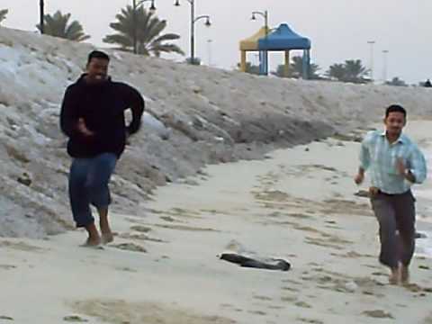 Yasar in rahima coast