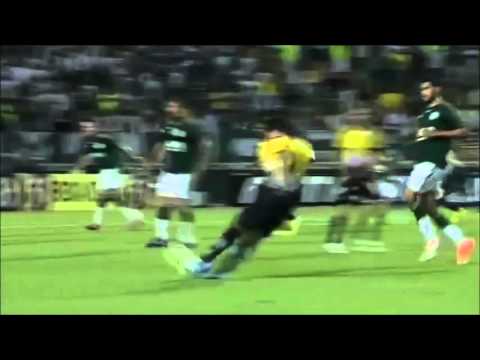 Fernando Prass - A muralha alviverde!
