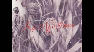 Sieben - Love's Trumpet