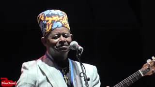 LIL' ED &amp; the BLUES IMPERIALS • Poor Man's Song • NY State Blues Fest 2019