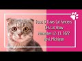 Paws & Claws CFA Cat Show 2023 Huntington Place Downtown Detroit,
November 11 & 12