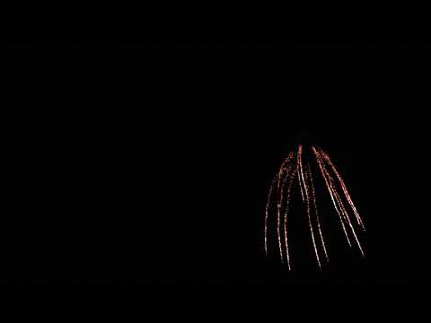 B313B - 3" BROCADE HORSE TAIL SHELLS 6's