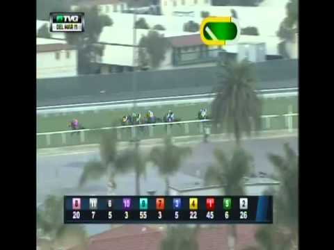 Halljoy MSW DMR11 Aug 31 2014 TVG Visit us @ hnrhorseracing.com