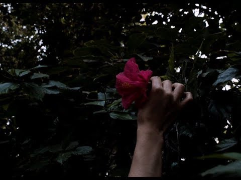 Sabrina Bellaouel - Illusions (CLIP OFFICIEL)