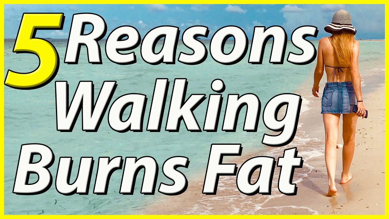 5 Reasons Why Walking Is Great For Weight Loss. Walk Your Fat Off.