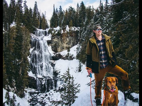 You Do More. Your Dog Leash Should Too.