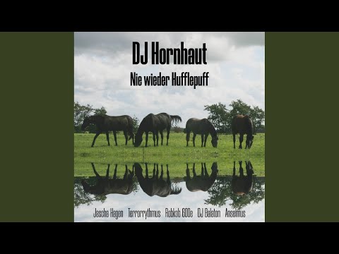 Frankfurter Aale (Robkob 600e Remix)