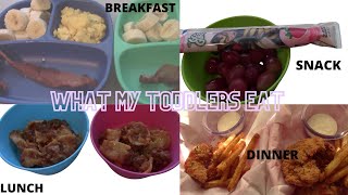 WHAT MY TODDLERS EAT IN A DAY // REALISTIC // SAHM