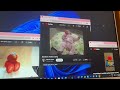 The Babies Scared Of Elmo