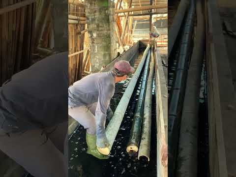 Treating Bamboo for Constructions