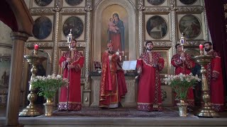 Թբիլիսիում նշվեց Վարդատոնը
