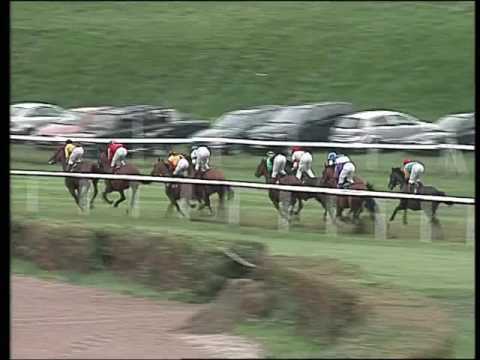 Grosser Volkswagen Preis von Baden 2006 (Group 1): Prince Flori - Oriental Tiger - Saddex