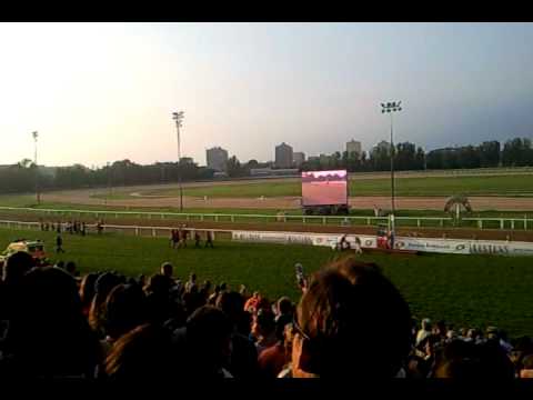 Overdose - Kincsem Park - 15.8.2010 - tizennegyedik gyozelem