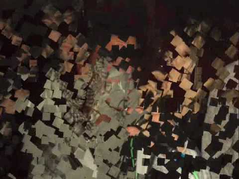 nIT FT Rinch3 & PHlora & AV1 (New Line ReCordS) - HOT 2010