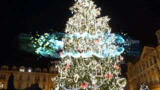 Weihnachtsbaum Ouvertüre - Weihnachtsmarkt in Prag Tschechien﻿