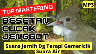 Download lagu MASTERAN CUCAK JENGGOT BESET TAJAM   TERAPI GEMERICIK AIR #masteranburung #cucakjenggot mp3
