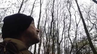 Vernal Equinox, March 20th 2017. Sussex.