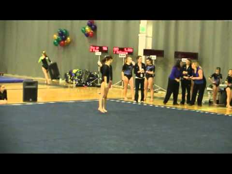 Dynamic Gymnastics Meet 2011