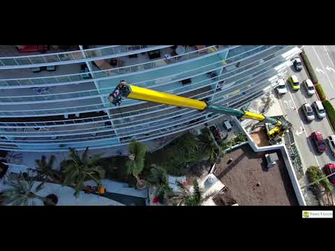 Pompano Project Update | Palm Tree Installation & Landscape Progress | Florida
