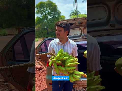 Visitas no município de Palmeiras Tocantins