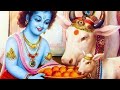 Happy Gopashtami Status Gopashtami WhatsApp Statu2025 गोपाष्टी स्टेटस Kr