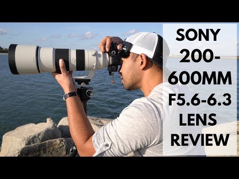 Video thumbnail for Video Review 3